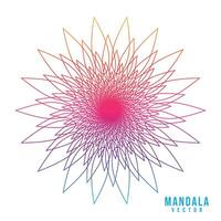 Colorful gradient simple unique mandala design on white background vector