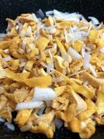 Chanterelle mushrooms. Cooking. Chopped mushrooms with onions in black cast-iron frying pan. Process of roasting mushrooms. Food background with yellow mushrooms. Top view. photo