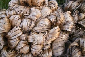 Thick Golden bundle of raw jute fiber abstract Pattern Texture Can be used as a Background wallpaper photo