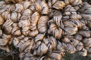 Thick Golden bundle of raw jute fiber abstract Pattern Texture Can be used as a Background wallpaper photo