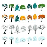 Set of trees in different seasons four seasons vector flat illustration. Mixed trees forest parks nature summer autumn winter spring