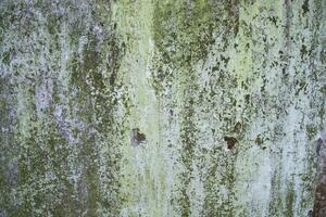 Old Grunge wall abstract Texture Can be used as a background wallpaper photo