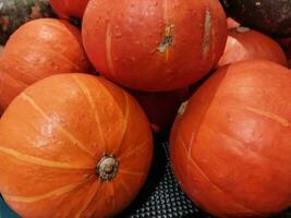 desenfocar imagen de cerca arriba mini calabazas en agricultores mercado. Víspera de Todos los Santos, octubre, noviembre. foto