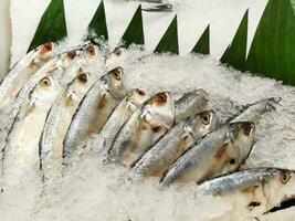 Defocused and noise image of Fresh milk fish or ikan bandeng placed on ice sold at fish section in supermarket. Raw chanos display at fish market. photo