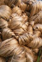 grueso dorado haz de crudo yute fibra modelo textura lata ser usado como un antecedentes fondo de pantalla. esta es el llamado dorado fibra en Bangladesh foto