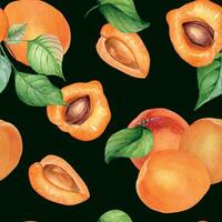 Watercolor whole and segment apricots seamless pattern isolated on black. Orange fruits illustration. Peach, leaves, nectarine hand drawn. Design element for package, wrapping, textile, background vector