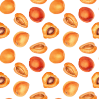 Watercolor whole and segment apricots seamless pattern. Yellow fruits illustration. Orange peach, nectarine hand drawn. Design element for package, wrapping, textile, background. png