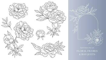 Peony Flower Line Art. Floral Frames and Bouquets Line Art. Fine Line Peony Frames Hand Drawn Illustration. Hand Draw Outline Leaves and Flowers. Botanical Coloring Page. Outline peony Isolated vector