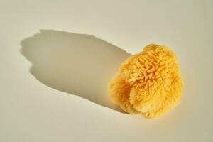 Natural sea sponge for face and body in the sun. photo