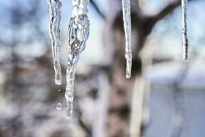 hielo carámbanos en el techo en invierno. foto