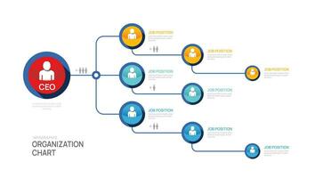 Infographic template for organization chart with business avatar icons. vector infographic for business.