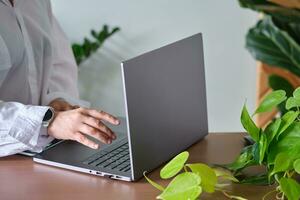 Women's hands at a laptop against a background of greenery. photo