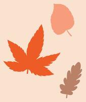 Autumn leaves, orange leaf, autumn leaf vector illustration, suitable for social media and print material and banners and posters, autumn advertising tool, good for educational content, abstract art