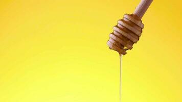 Honig fließt von ein Honig Löffel Schöpflöffel schleppend Bewegung Video Gelb Hintergrund