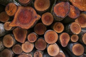 Stacked pile wood logs abstract pattern texture Can be used as a Background wallpaper photo