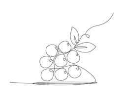 Continuous one single line drawing of bunch of grapes on white background. vector