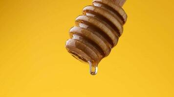 Slow motion of dripping honey from honey dipper on yellow background. video footage close up