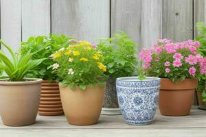 Flower potted plants. background. AI Generative Pro Photo