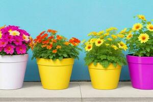 Flower potted plants. background. AI Generative Pro Photo