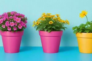 Flower potted plants. background. AI Generative Pro Photo