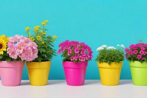 Flower potted plants. background. AI Generative Pro Photo