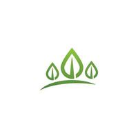 logotipos de la ecología de la hoja del árbol verde vector