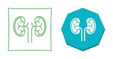 Kidney Vector Icon