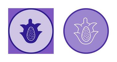 Dragon Fruit Vector Icon