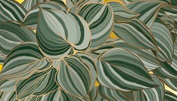 Hand-drawn white and green striped Hosta leaves with copper metallic outline background vector. Luxury art deco wallpaper design for print, poster, cover, banner, fabric, wrapping. vector