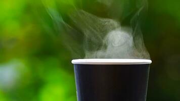 coffee takeaway in a paper cup on top of the car roof green tree background at sunrise in the morning,  selective focus, soft focus. photo