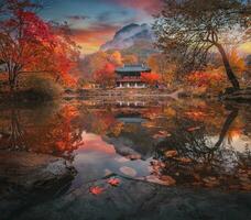 Colorful autumn with beautiful maple leaf at Baekyangsa temple in Naejangsan national park, South Korea. photo