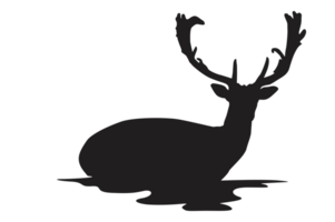 Pose von Hirsch Silhouette mit transparent Hintergrund png