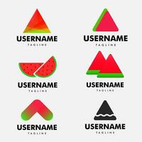 set of graphic watermelon logo on the white background  good for watermelon logotype, logo design, vector