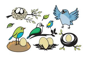 Set of birds in the nest with eggs and leaves. Vector illustration.