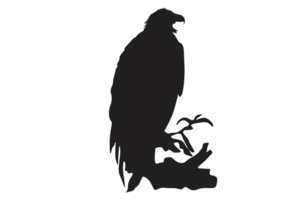 Pose Of Eagle Silhouette With Transparent Background png