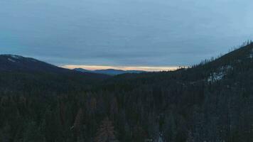 barr- skog och berg. sierra nationell skog, Kalifornien, usa. antenn se. Drönare flugor sidled video