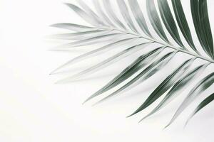 Minimalistic background palm leaf soft. Generate Ai photo