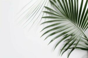 Minimalistic background palm leaf. Generate Ai photo