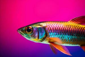 Colorful neon fish on bright pink background. Generate ai photo