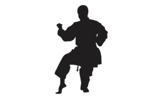 Pose Of Karate Silhouette with Transparent Background png