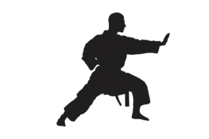 Pose von Karate Silhouette mit transparent Hintergrund png