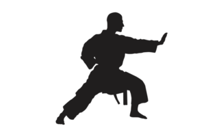 Pose Of Karate Silhouette with Transparent Background png