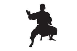 Pose von Karate Silhouette mit transparent Hintergrund png