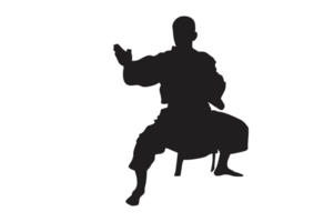 Pose Of Karate Silhouette with Transparent Background png