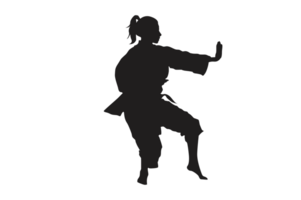 Pose Of Karate Silhouette with Transparent Background png