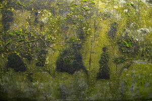 Lichen Fungi Green Moss on the old Concreate wall abstract Texture background. Rusty, Grungy, Gritty Vintage Background photo