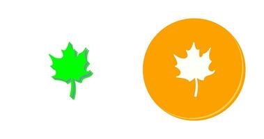 Autumn Leaf Vector Icon