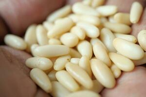 Healthy pine nuts on hand photo