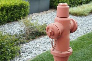 red fire hydrant on green grass photo