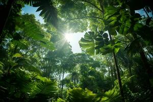 Lush tropical green forest with diverse flora. Tall majestic trees and small bushes and ferns. The sun's rays break through the dense crown of trees. Ai generative photo